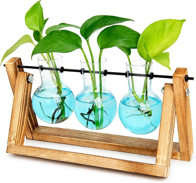 Glass propagation station with wooden stand and 3 bulb vases