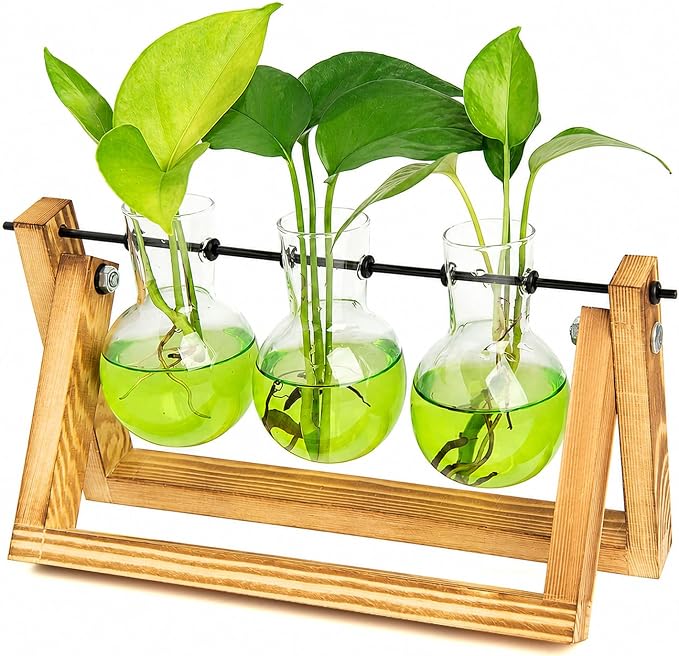 Glass Propagation Station | Wooden Stand with 3 Bulb Vases for Plant Cuttings