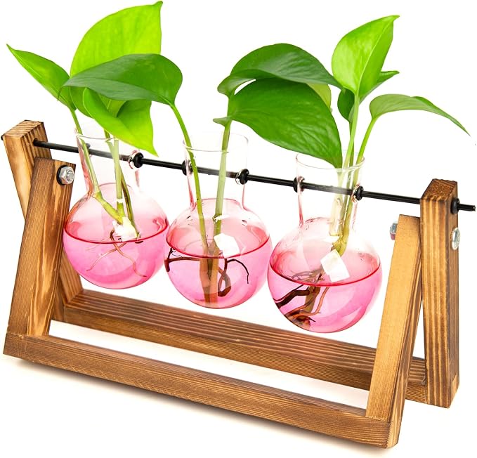 Glass Propagation Station | Wooden Stand with 3 Bulb Vases for Plant Cuttings
