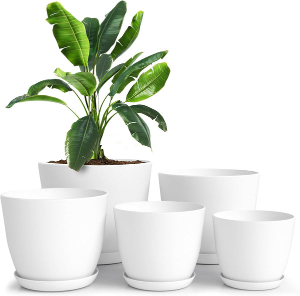 Set of five indoor plant pots with matching saucers