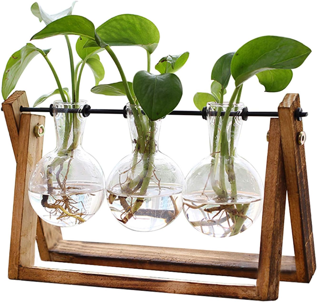 Glass Propagation Station | Wooden Stand with 3 Bulb Vases for Plant Cuttings