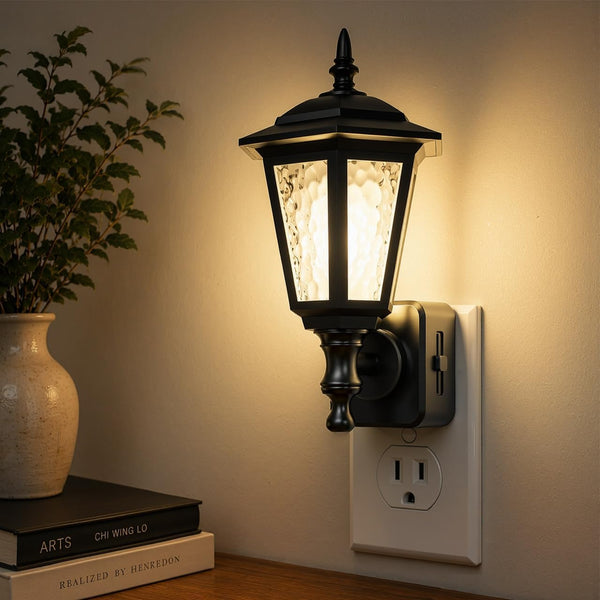 Plug in wall sconce night light with dimmer