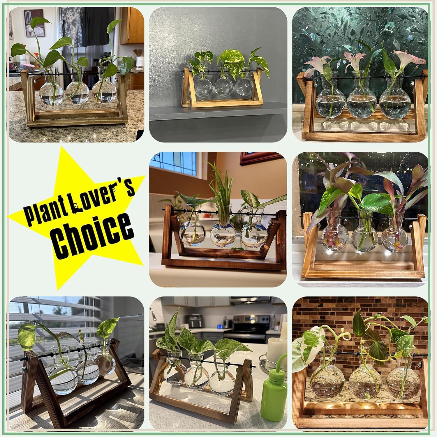 Glass Propagation Station | Wooden Stand with 3 Bulb Vases for Plant Cuttings