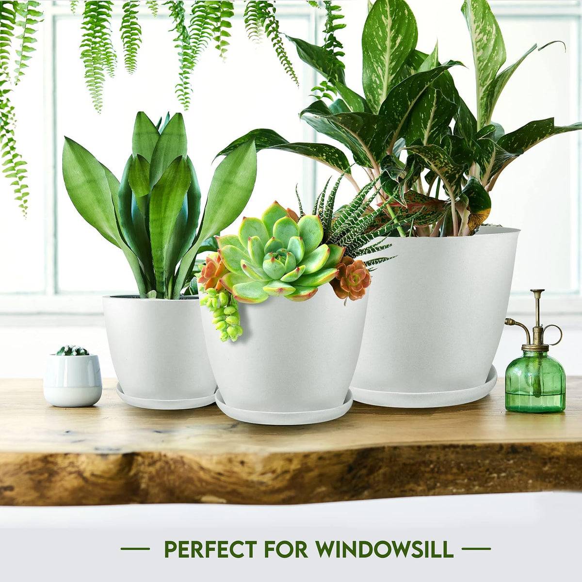 Set of 5 Indoor Plant Pots with Drainage & Saucers – 4.8" to 7"