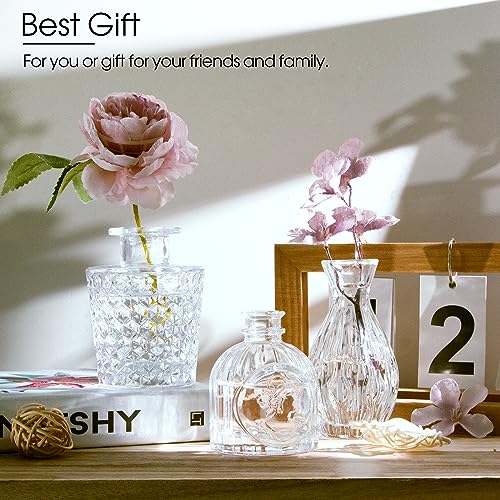 Clear Glass Bud Vases Set of 12 – Vintage Etched Mini Vases for Decor & Weddings